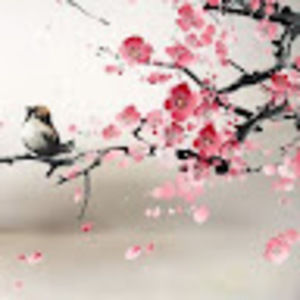 Meet your Posher, Julissa